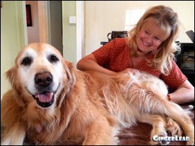 Ginger getting some chiropractic adjustments from Dr. Andi